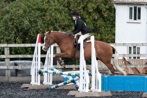 Class 4 - Fences 2'3 to 2'6